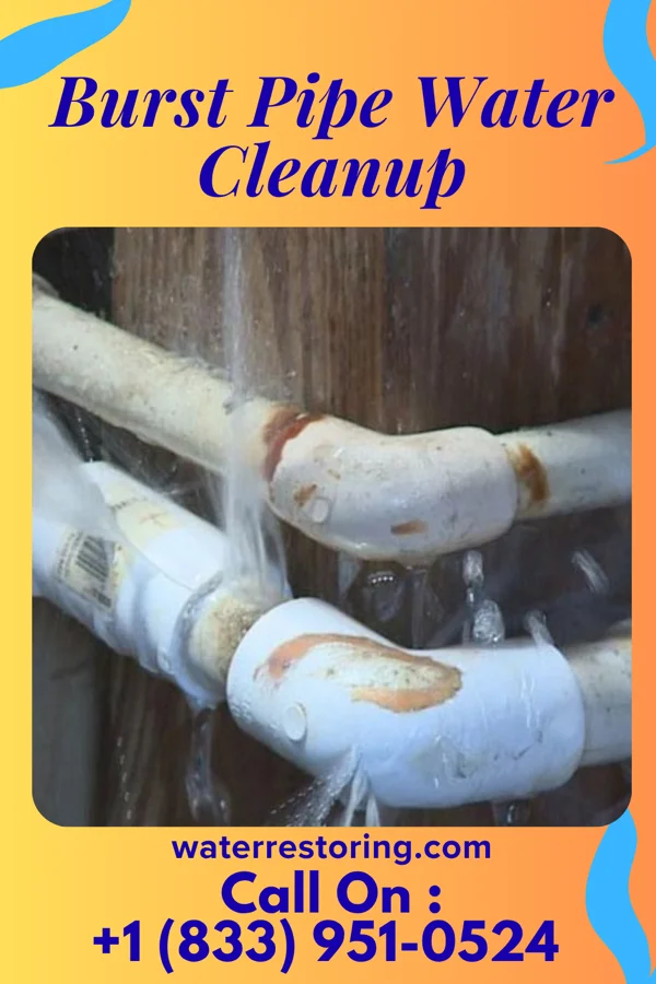 Burst Pipe Water Cleanup in Whitney, TX