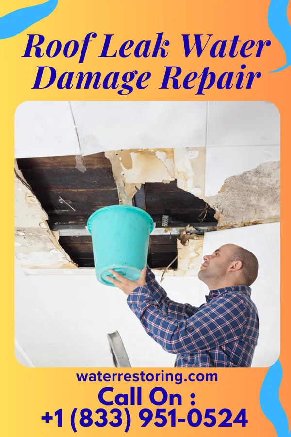 Roof Leak Water Damage Repair in Whitney, TX